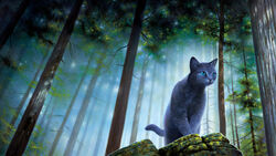 Bluestar's Prophecy - Wikipedia