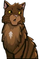 Featherstorm.EFS.png (1.04 MB) Featherstorm in Exile from ShadowClan