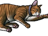 Nutmeg (TPB)