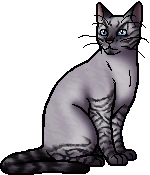 Rainleap's warrior image: a ticked tabby