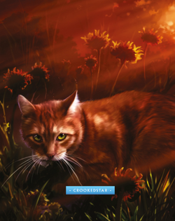 crookedstar warrior cats