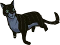 Crowtail in Exile from ShadowClan