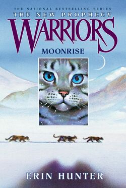 Warrior Cats (Series 2) New Prophecy 6 Books By Erin Hunter-Ages 8