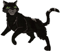Nightstar (ShC) on the cover of Exile from ShadowClan