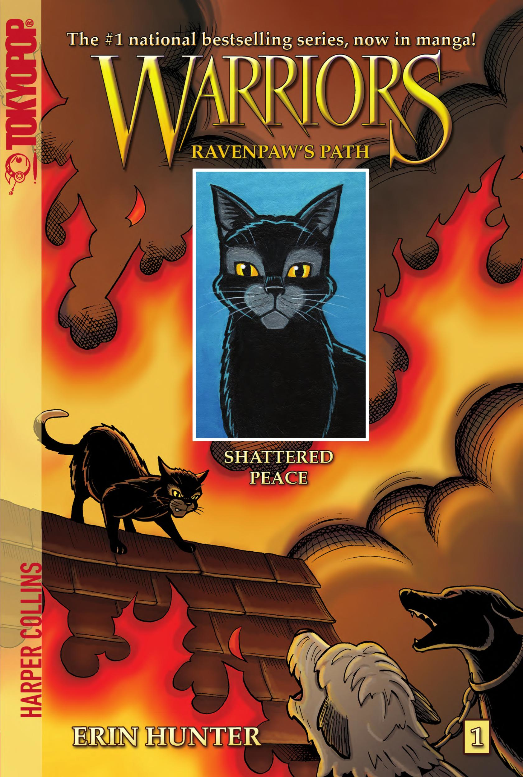 Firestar, Warriors: Shattered Wikia