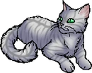 Silverstream.star.alt.png (22 KB) Alternative StarClan Version
