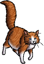 Kitescratch, Warriors Wiki