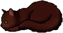 Kit Version