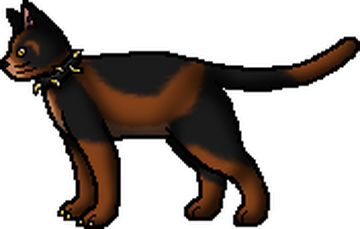 According to the Warriors Wiki: Bloodclan cats 