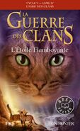 French Reprint Language Edition Released in France