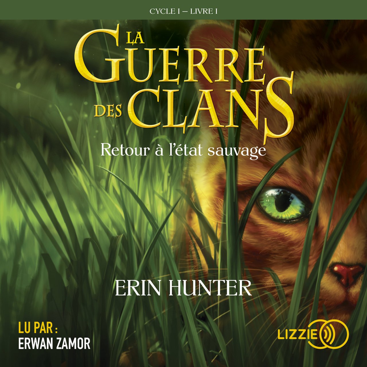 into the wild book pdf erin hunter