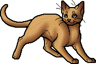 sandstorm (warrior cat) Animated Picture Codes and Downloads  #96851196,497307337