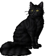 Hawkwing is described as a gray tabby, the exact stripe pattern displayed was artist's choice.