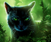 Hollyleaf on the reprinted cover of The Forgotten Warrior
