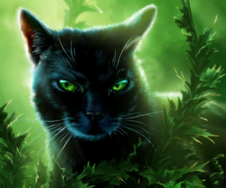 Featured image of post View 15 Hollyleaf Warriors Wiki