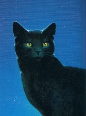 Nightstar (ShC).FG-6