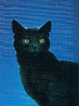 Nightstar (ShC) in The Ultimate Guide