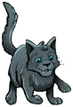Rainwhisker in A Thief in ThunderClan