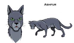 Warrior Cats - Ashfur of Shadowclan by Yarrowfoot This