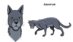 Ashfur (TC)/PR, Warriors Wiki