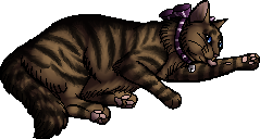 Guess that cat based off the oddly designed Warriors Wiki sprite! :  r/WarriorCats