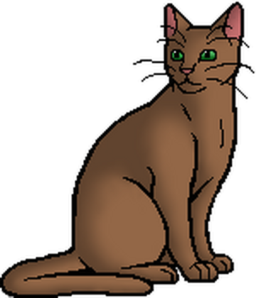 Kitescratch, Warriors Wiki