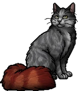 Rosetail's warrior image. She was originally a brown tabby until cited to be gray.