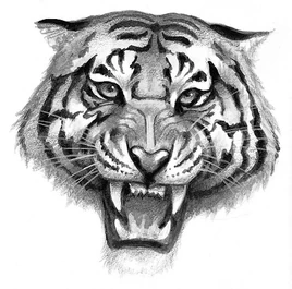 TigerClan (mythological)