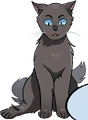 Cinderpelt in The Prophecies Begin, volume 2