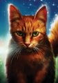 Squirrelstar on the full cover of Squirrelflight's Hope