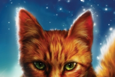 The Warriors Wiki changed their background to celebrate Squilfstar's new  title as leader! : r/WarriorCats