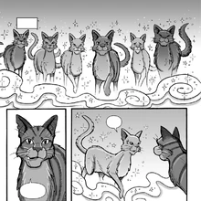 Starclan Warriors Wiki Fandom