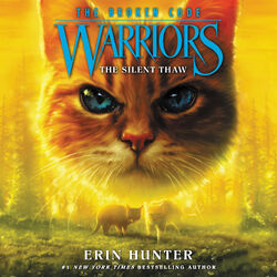 Warriors The Broken Code Lost Stars Book l Official Warrior Cats Store