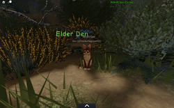 The elders' den