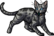 I Heard Jayfeather was the Warrior cat of the week. Here's my Jayfeather  design I did not too long ago! : r/WarriorCats