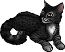 StarClan Version