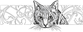 Shadow (book)/Chapter 2