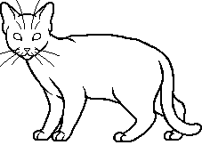 Guess that cat based off the oddly designed Warriors Wiki sprite! : r/ WarriorCats