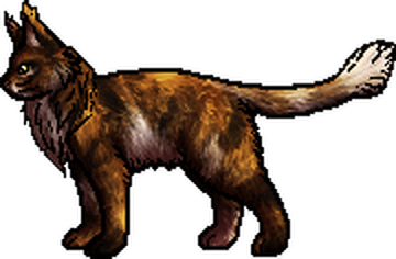 Thunderclan Warrior Cat Wiki Fandom Powered By Wikia - Warrior