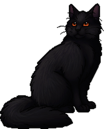 What Warrior Cats Character Are You? ARC 1 - Quiz