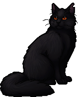 Ashfur (ShC), Warriors Wiki