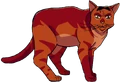 Rowanclaw.TS.png (281 KB) Rowanclaw in Tigerstar and Sasha