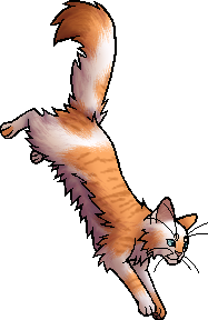 Guess that cat based off the oddly designed Warriors Wiki sprite! : r/ WarriorCats