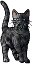 Jayfeather.mc.png (24 KB) Medicine Cat Version