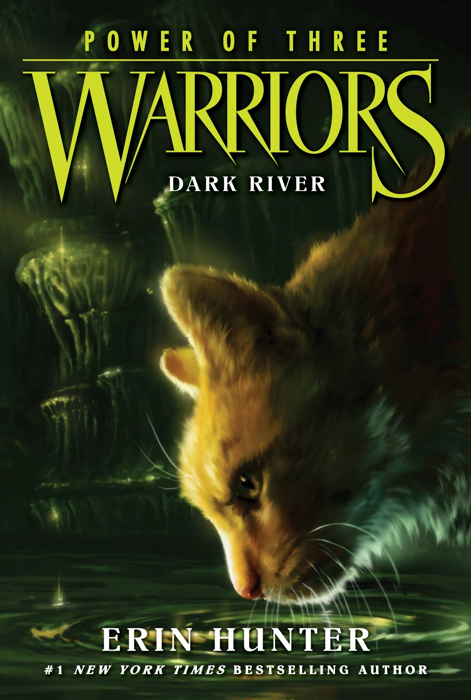 Warrior Cats (Series 2) The New Prophecy 6 Books by Erin Hunter - Youn –  Just Kids Books CA