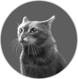 Riverstar's Home/Chapter 16