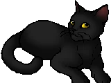 Swiftstar (WC)