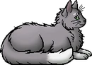 Alternative Elder Version