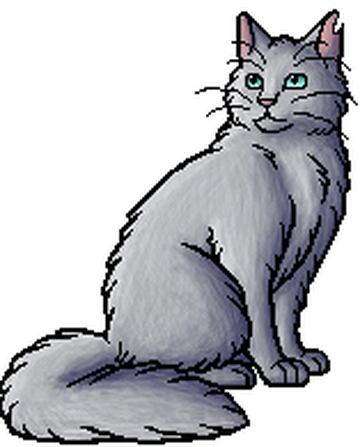 Ashfur (TC), Warriors Wiki