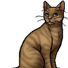 Heathertail Warriors Wiki Fandom